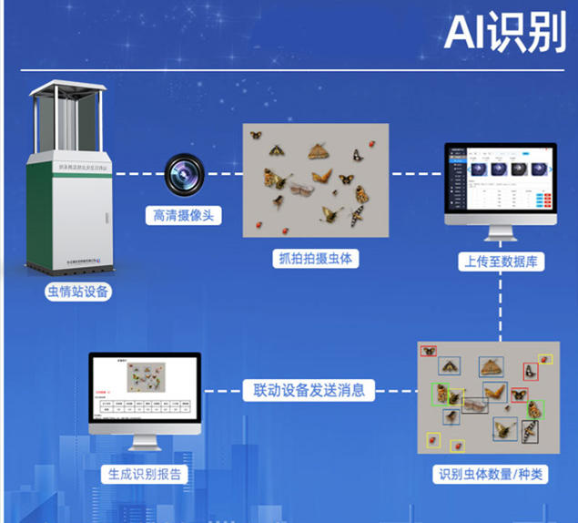 推桿式蟲情測(cè)報(bào)燈-(2).jpg