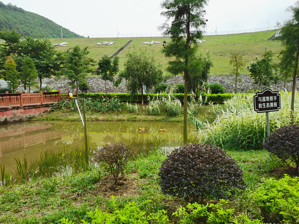 廣東金銀河水庫(kù)國(guó)家濕地公園生態(tài)修復(fù)工程項(xiàng)目